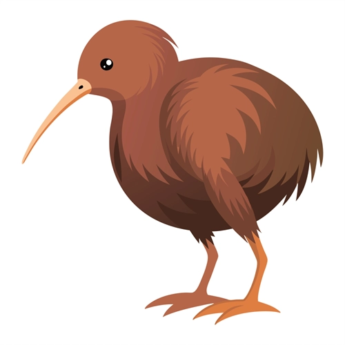Jungle Safari Kiwi Bird Transparent Sticker